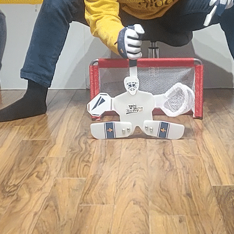 Gardien de but de Nova Hockey